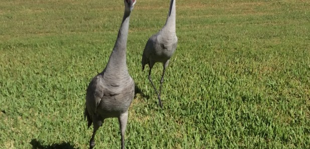 545FA98B-672A-46F6-B47D-32C6486BF52B