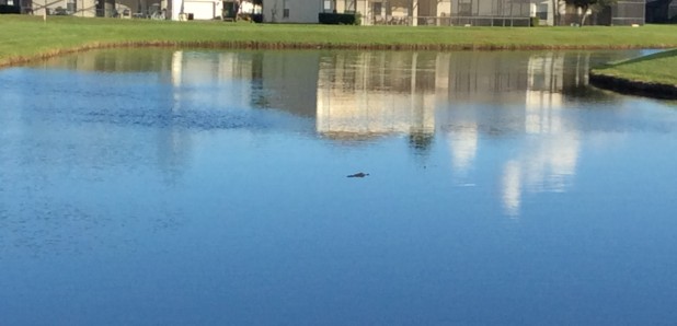 DDF2C5AD-28B9-4CA1-A6B5-419C6AFE6288