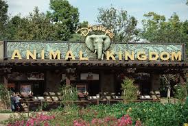 Animal Kingdom, Disney