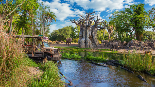 Animal Kingdom, Disney